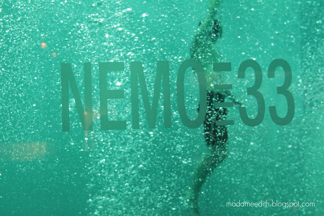 Nemo 33
