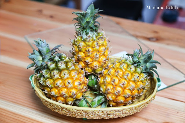 Jak rośnie ananas?