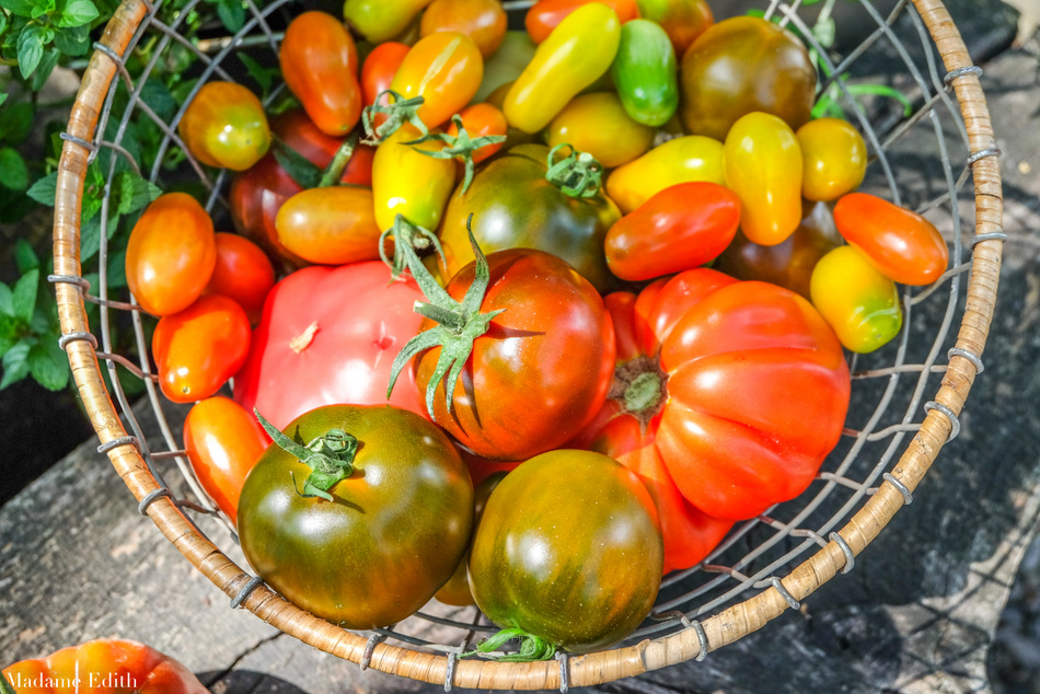 przepisy z pomidorami